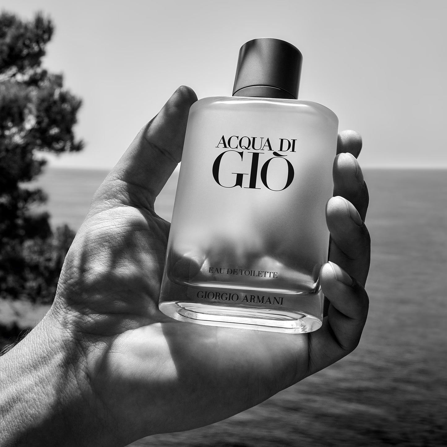 Giorgio Armani Acqua di Giò Eau de Toilette 100ml – Erkek Parfümü